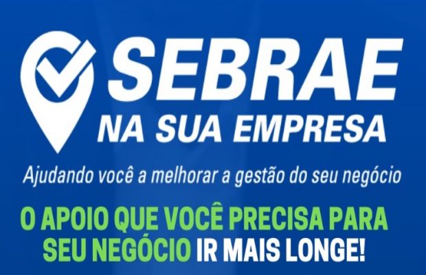 SEBRAE na sua Empresa